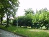 Straßenansicht - UNBEBAUTES GRUNDSTÜCK IM GRÜNEN VON SCHULZENDORF