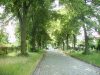 Umfeld - UNBEBAUTES GRUNDSTÜCK IM GRÜNEN VON SCHULZENDORF