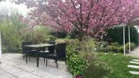 Terrasse_Vorgarten - SEEBURG, DICHT AN BERLIN PROVISIONSFREIE DOPPELHAUSHÄLFTE TOP ZUSTAND, TOLLER GARTEN